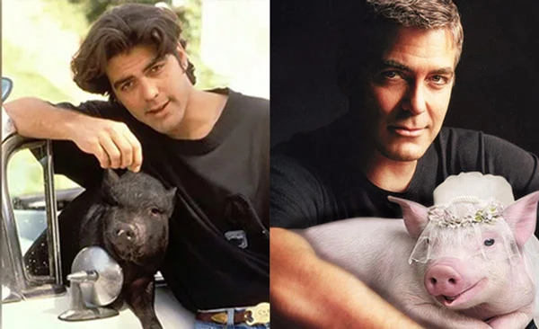 George-Timothy-Clooney