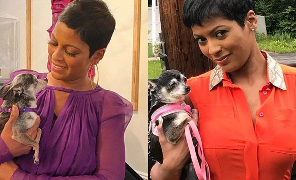 May Luv (Tamron Hall) Celebrity pets 