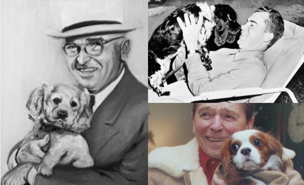 Celebrity pets US President Harry Truman